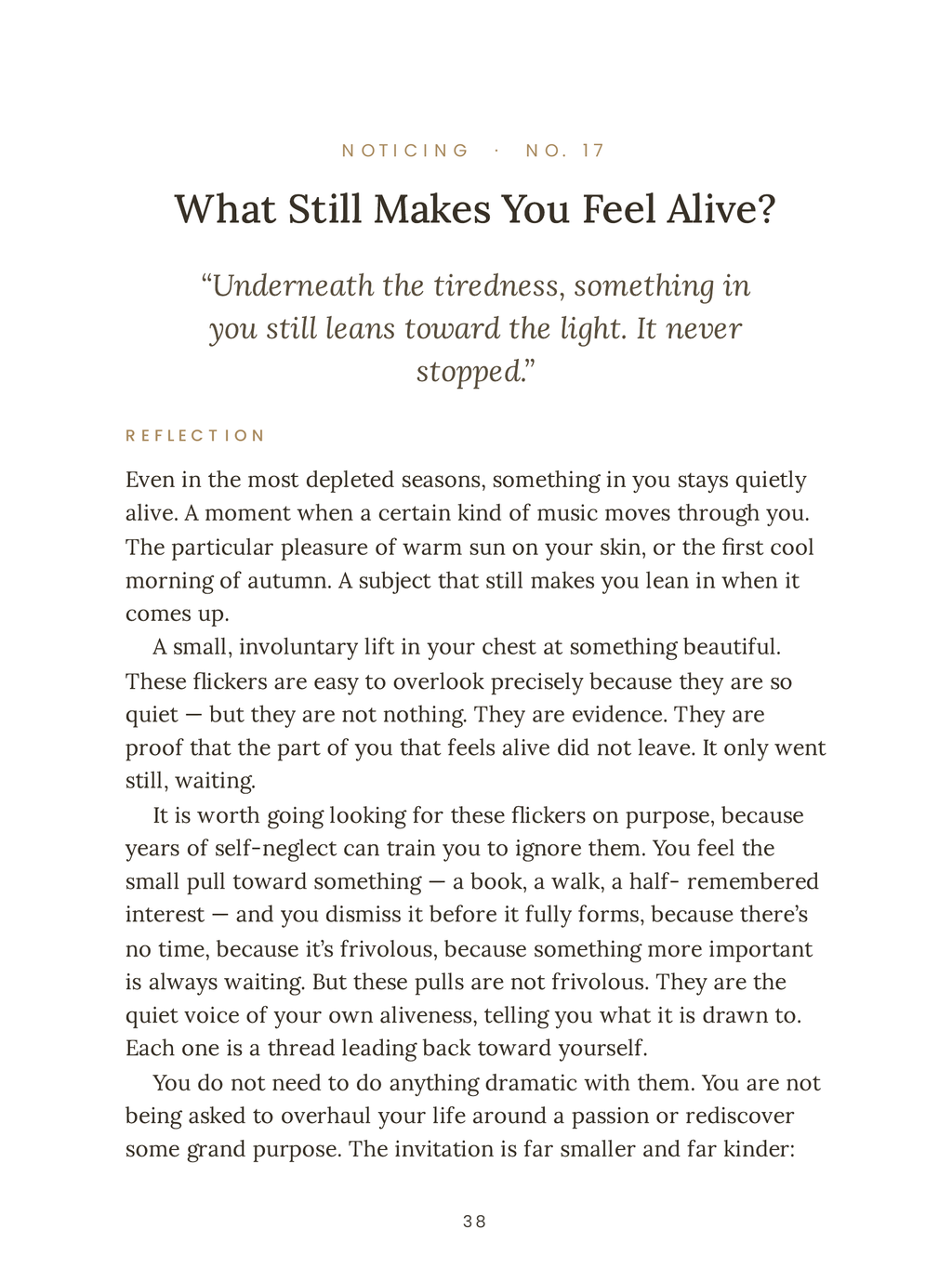 30 Quiet Moments for the Woman Who Feels Invisible — A Gentle Reflection Journal