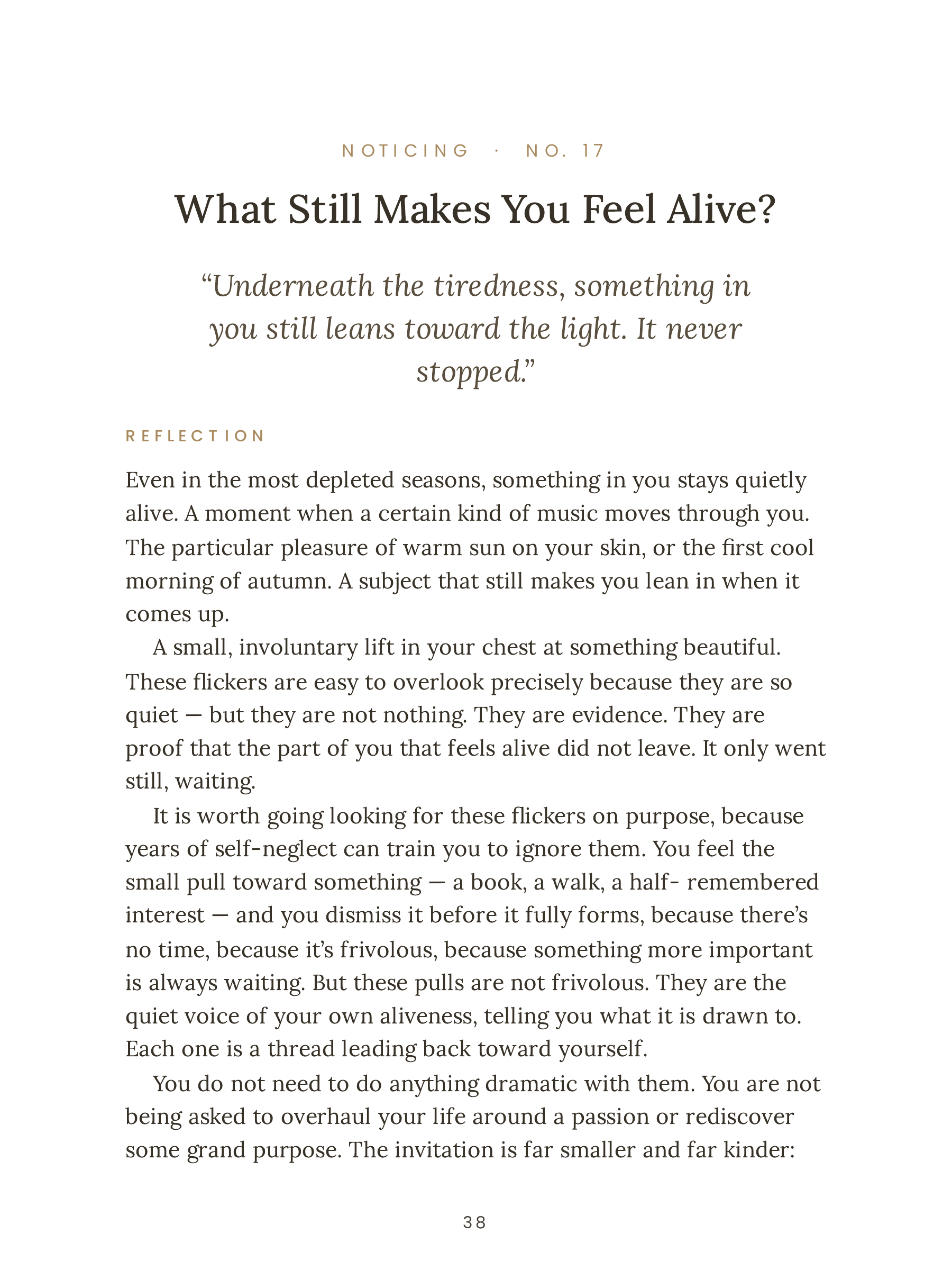 30 Quiet Moments for the Woman Who Feels Invisible — A Gentle Reflection Journal